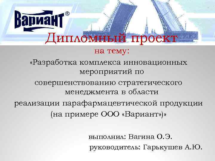 Разработка инвестиционного проекта диплом