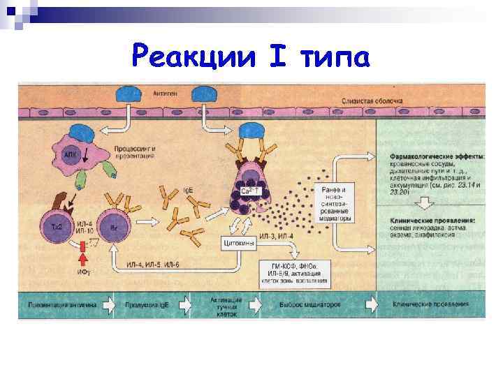 Реакции I типа 