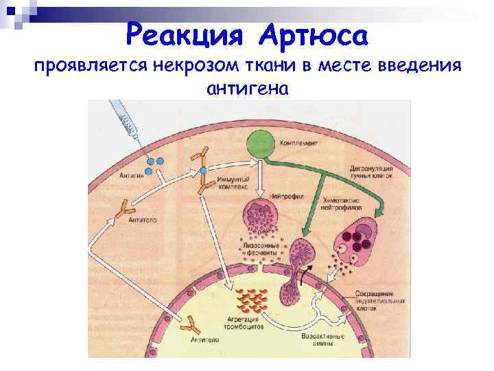 Карта москвы аллергия