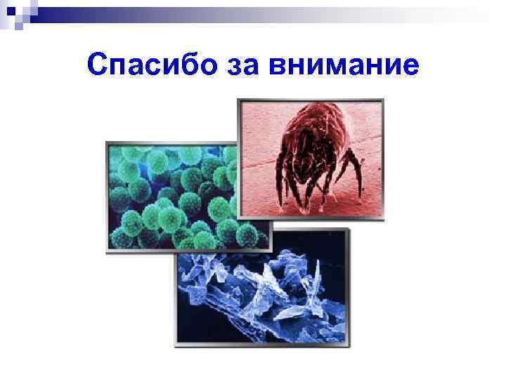 Спасибо за внимание 