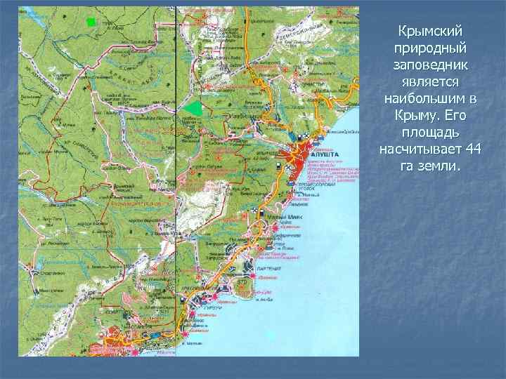 Крымский природный заповедник является наибольшим в Крыму. Его площадь насчитывает 44 га земли. 