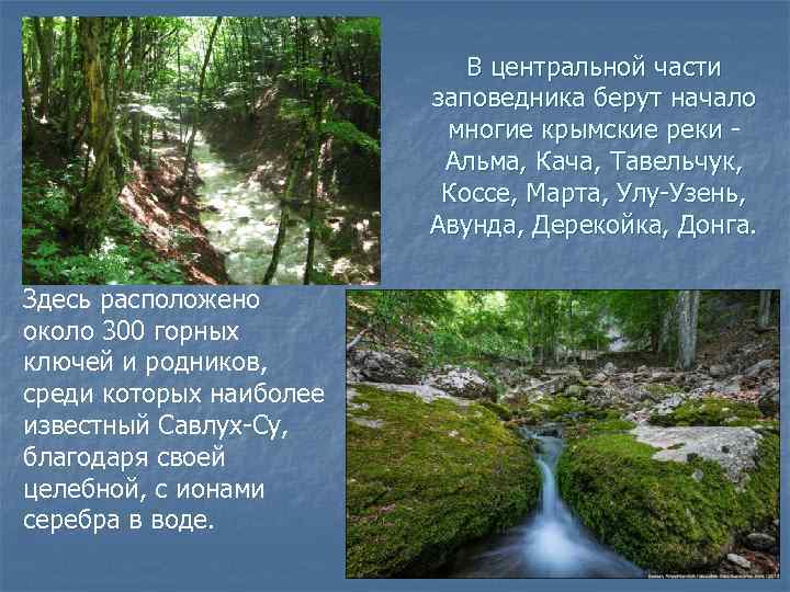 В центральной части заповедника берут начало многие крымские реки - Альма, Кача, Тавельчук, Коссе,