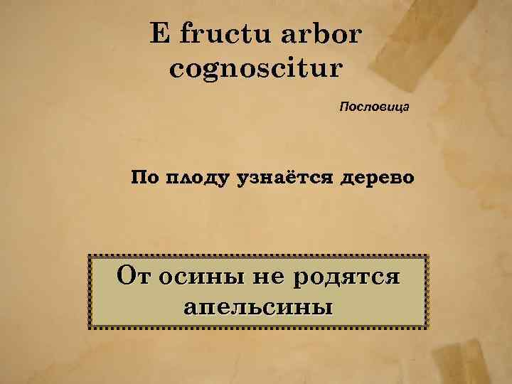 Е fructu arbor cognoscitur Пословица По плоду узнаётся дерево От осины не родятся апельсины