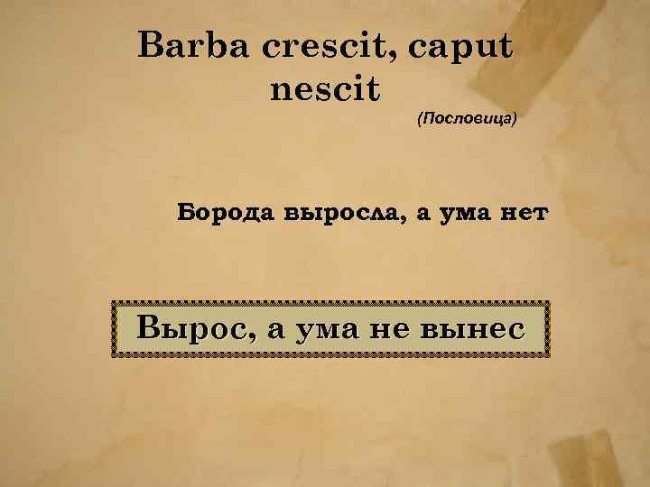 Barba crescit, caput nescit (Пословица) Борода выросла, а ума нет Вырос, а ума не