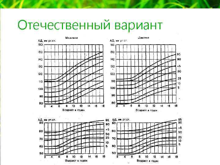 Отечественный вариант 