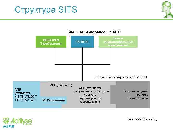 Структура SITS Клинические исследования SITS-OPEN Тромбэктомия I-STROKE Новые рандомизированные исследования Структурное ядро регистра SITS
