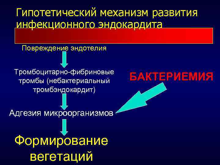 Гипотетический механизм развития инфекционного эндокардита Повреждение эндотелия Тромбоцитарно-фибриновые тромбы (небактериальный тромбэндокардит) Адгезия микроорганизмов Формирование