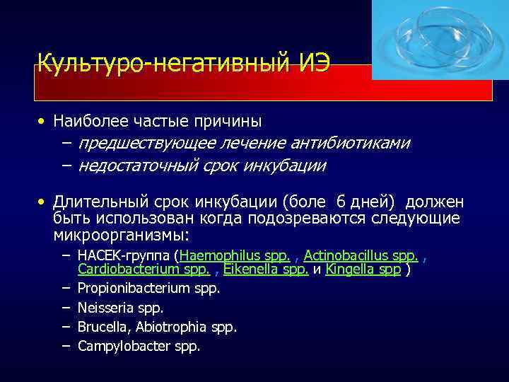 Культуро-негативный ИЭ • Наиболее частые причины – предшествующее лечение антибиотиками – недостаточный срок инкубации