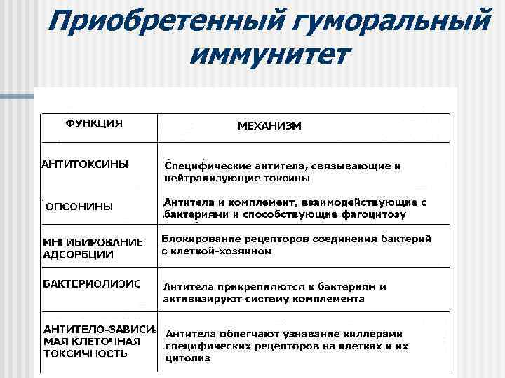 Приобретенный гуморальный иммунитет 