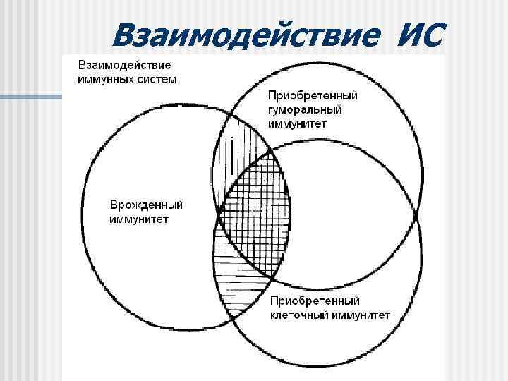 Взаимодействие ИС 