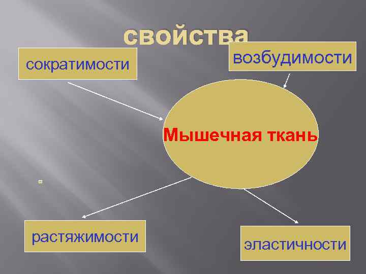 Свойства возбудимость и сократимость. Произвольные и непроизвольные мышцы. Свойствами возбудимости и сократимости обладают ткани:.