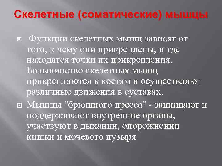 Скелетные (соматические) мышцы Функции скелетных мышц зависят от того, к чему они прикреплены, и