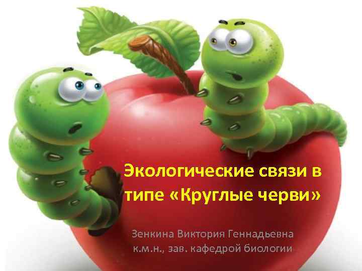 Экологические связи в типе «Круглые черви» Зенкина Виктория Геннадьевна к. м. н. , зав.