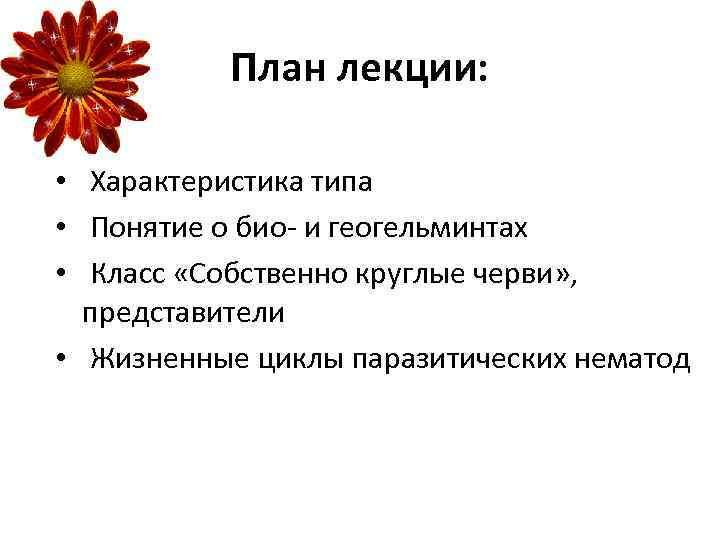 План лекции: • Характеристика типа • Понятие о био- и геогельминтах • Класс «Собственно