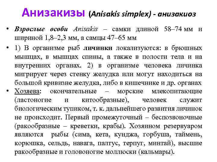 Анизакизы (Anisakis simplex) - анизакиоз • Взрослые особи Anisakis – самки длиной 58– 74