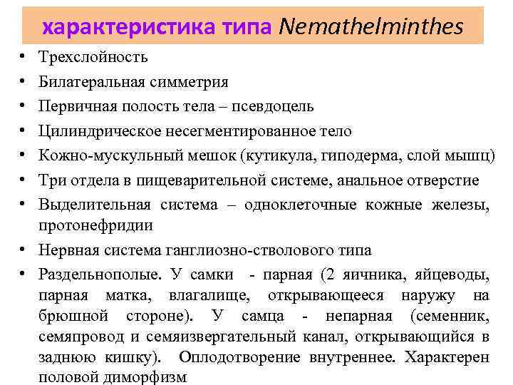 характеристика типа Nemathelminthes • • Трехслойность Билатеральная симметрия Первичная полость тела – псевдоцель Цилиндрическое
