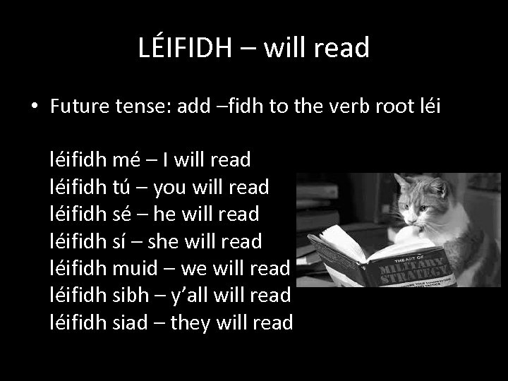 LÉIFIDH – will read • Future tense: add –fidh to the verb root léifidh