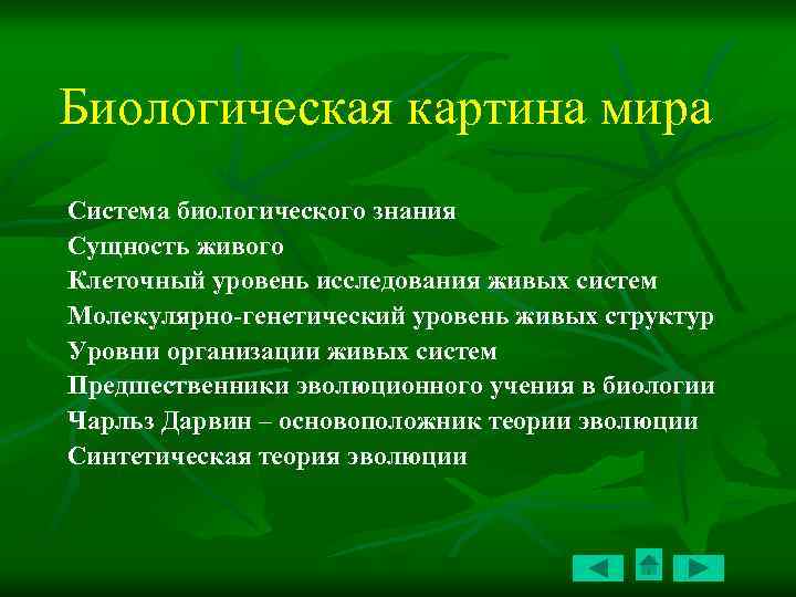 Теории живого. Биологическая картина мира. Теория живых систем. Современная биологическая картина мира. Биологическая картина мира презентация.