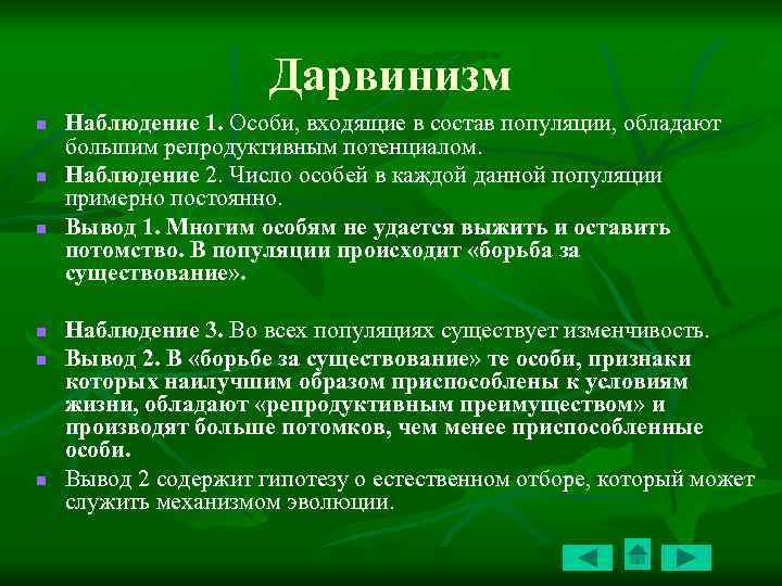 Дарвинизм n n n Наблюдение 1. Особи, входящие в состав популяции, обладают большим репродуктивным