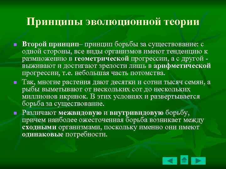 Принципы эволюционной теории n n n Второй принцип– принцип борьбы за существование: с одной
