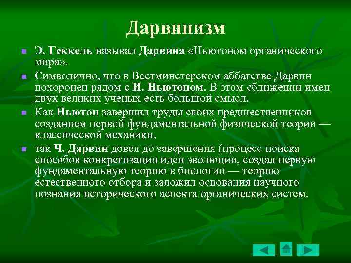 Дарвинизм n n Э. Геккель называл Дарвина «Ньютоном органического мира» . Символично, что в