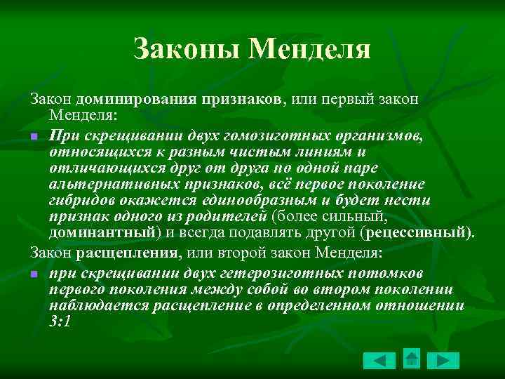 Синдром менделя. Симптом Менделя.