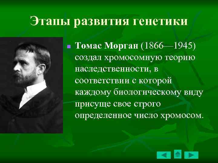 Этапы развития генетики n Томас Морган (1866— 1945) создал хромосомную теорию наследственности, в соответствии