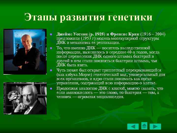 Этапы развития генетики n n Джеймс Уотсон (р. 1928) и Френсис Крик (1916 –