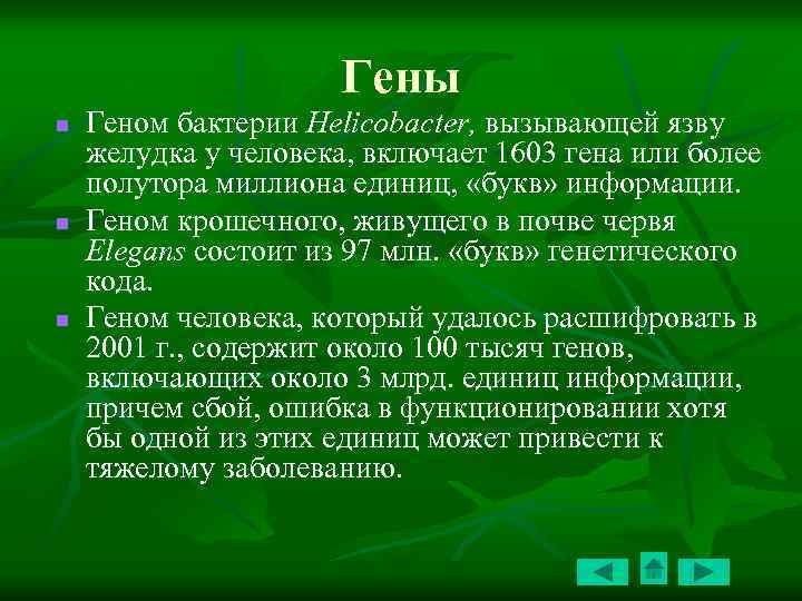 Гены n n n Геном бактерии Helicobacter, вызывающей язву желудка у человека, включает 1603