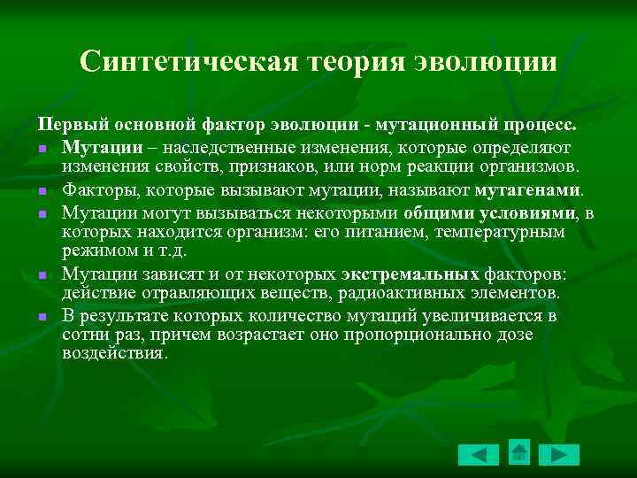 Синтетическая теория эволюции Первый основной фактор эволюции - мутационный процесс. n Мутации – наследственные