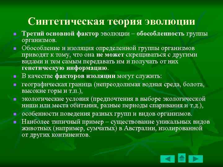 Синтетическая теория эволюции n n n n Третий основной фактор эволюции – обособленность группы