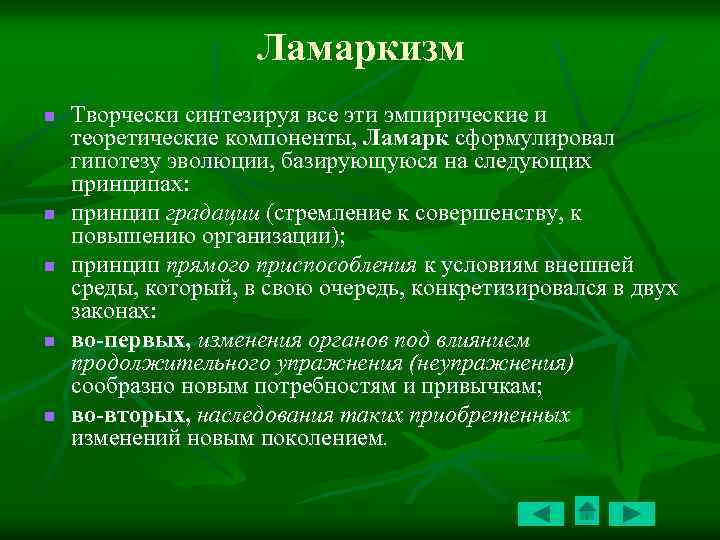 Ламаркизм n n n Творчески синтезируя все эти эмпирические и теоретические компоненты, Ламарк сформулировал