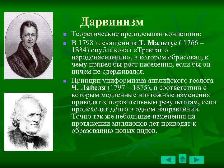 Дарвинизм n n n Теоретические предпосылки концепции: В 1798 г. священник Т. Мальтус (