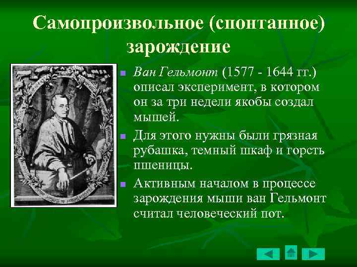 Самопроизвольное зарождение жизни суть. Гипотеза самопроизвольного зарождения. Самопроизвольное спонтанное Зарождение. Теория спонтанного зарождения. Теория самопроизвольного зарождения жизни.