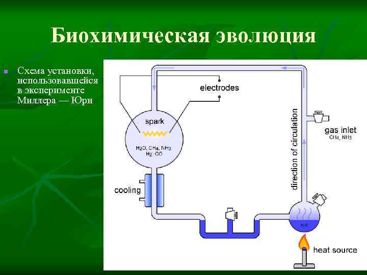 Биохимическая эволюция. Эксперимент Миллера - Юри. Опыты Миллера (схема и пояснения).. Биохимическая Эволюция схема. Опыты Миллера доказали.