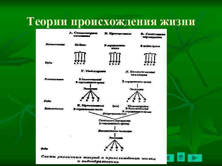 Тест гипотезы возникновения жизни