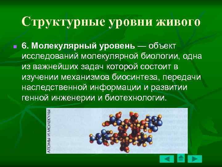 Молекулярный уровень компоненты. Молекулярный уровень биология. Молекулярный уровень общая характеристика. Объект изучения молекулярного уровня.