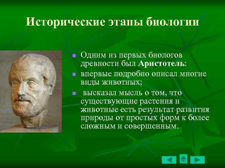 Этапы биологии