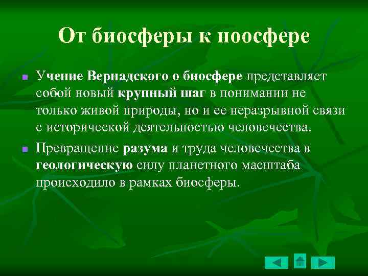 Биосфера учение вернадского презентация