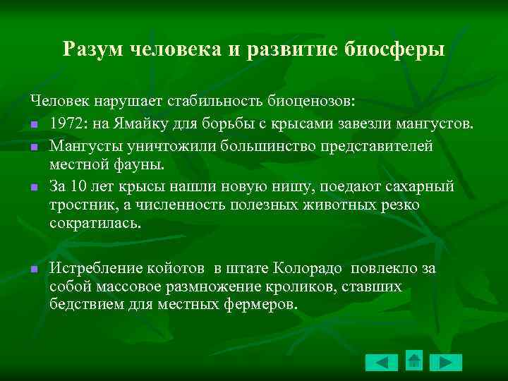 Разум человека и развитие биосферы Человек нарушает стабильность биоценозов: n 1972: на Ямайку для