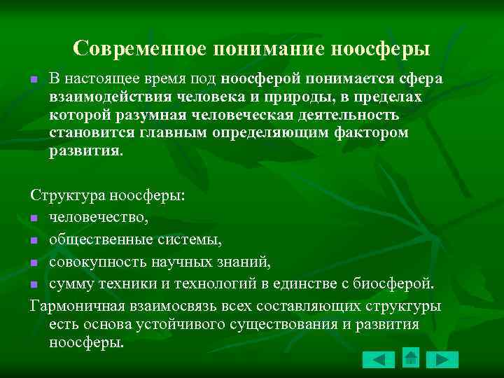 Современное понимание ноосферы n В настоящее время под ноосферой понимается сфера взаимодействия человека и