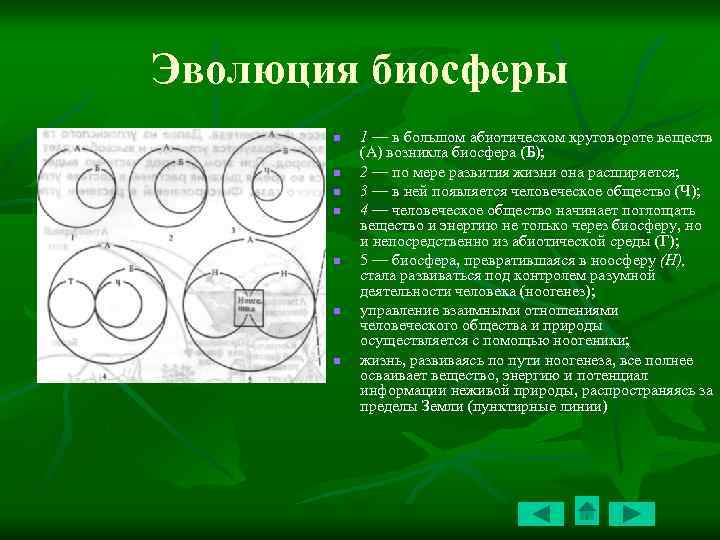 Эволюция биосферы земли. Ноогенез в эволюции биосферы. Процесс эволюции биосферы. Определите содержание периода ноогенеза в эволюции биосферы. Ноосфера и Ноогенез.