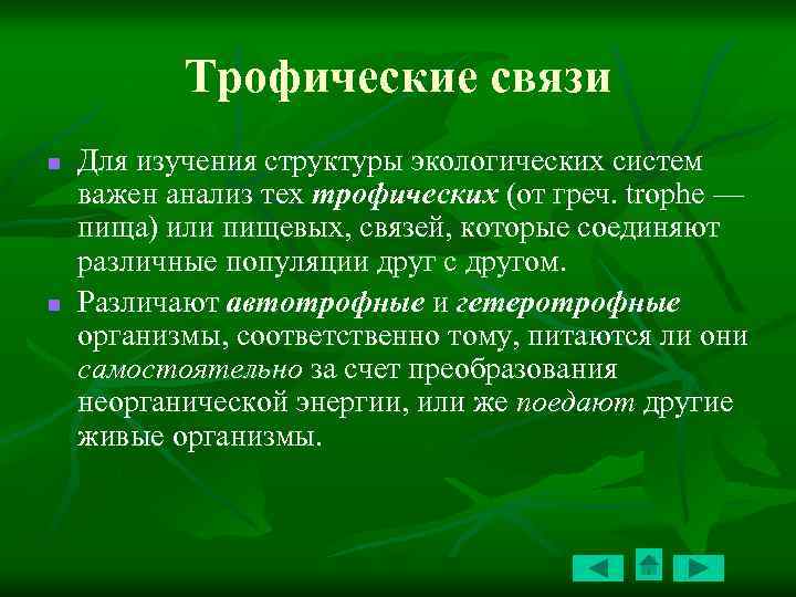 Трофические связи n n Для изучения структуры экологических систем важен анализ тех трофических (от