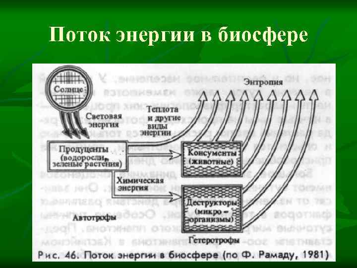 Схема потока энергии