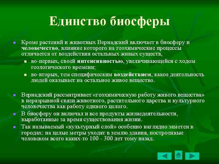 Реферат: Информационные лики человека и биосферы