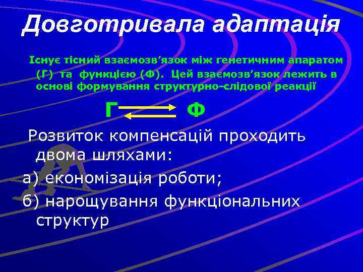 Довготривала адаптація Існує тісний взаємозв’язок між генетичним апаратом (Г) та функцією (Ф). Цей взаємозв’язок