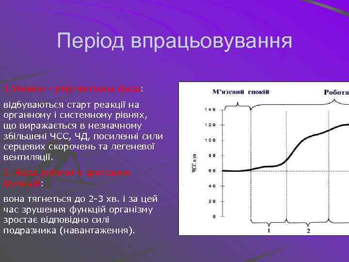 Період впрацьовування 1. Умовно - рефлекторна фаза: відбуваються старт реакції на органному і системному