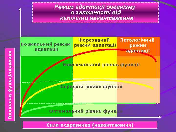Величина функціонування Режим адаптації організму в залежності від величини навантаження Форсований Патологічний Нормальний режим