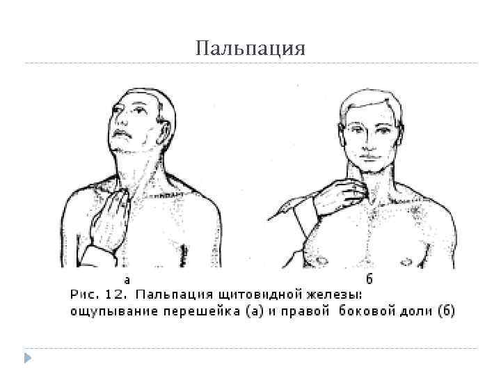 Пальпация 