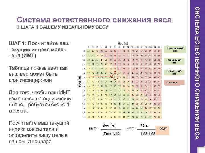 3 ШАГА К ВАШЕМУ ИДЕАЛЬНОМУ ВЕСУ ШАГ 1: Посчитайте ваш текущий индекс массы тела